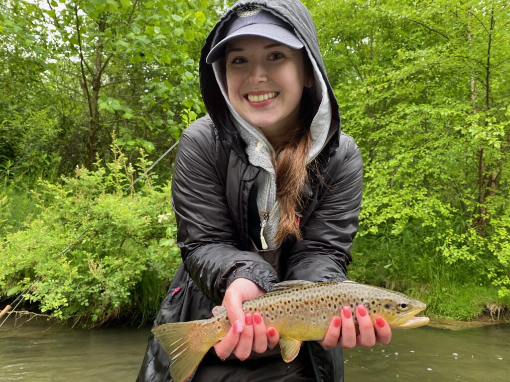 guided fly fishing client holding a wild brown trout caught with keystone anglers guide service on trip to spring creek in bellefonte pennsylvania