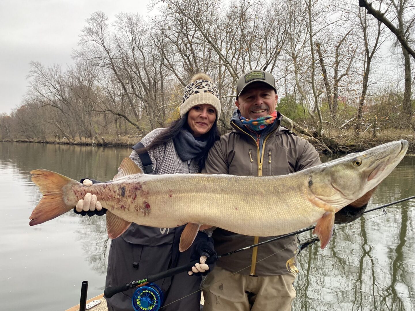 client holding a massive musky that he caught on a fky fishing trip with scott grassi and keystone anglers guide service on a western pa waterway.