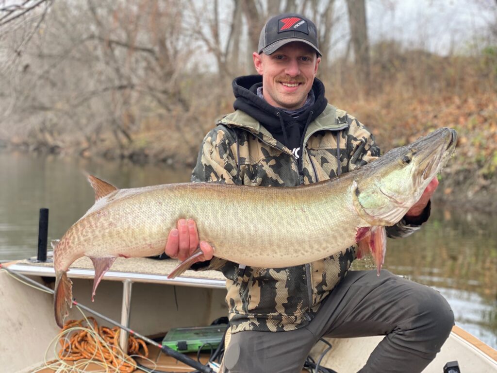 guided client holding a large OH Musky that he caught with scott grassi and keystone anglers guide service on a fly fishing trip