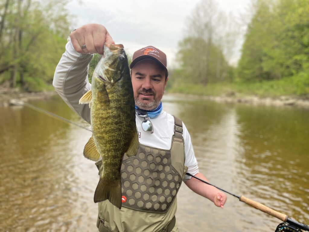 guided client holding large lake erie lake run smallmouth bass caught on elk creek in erie pennsylvania with keystone anglers guide service