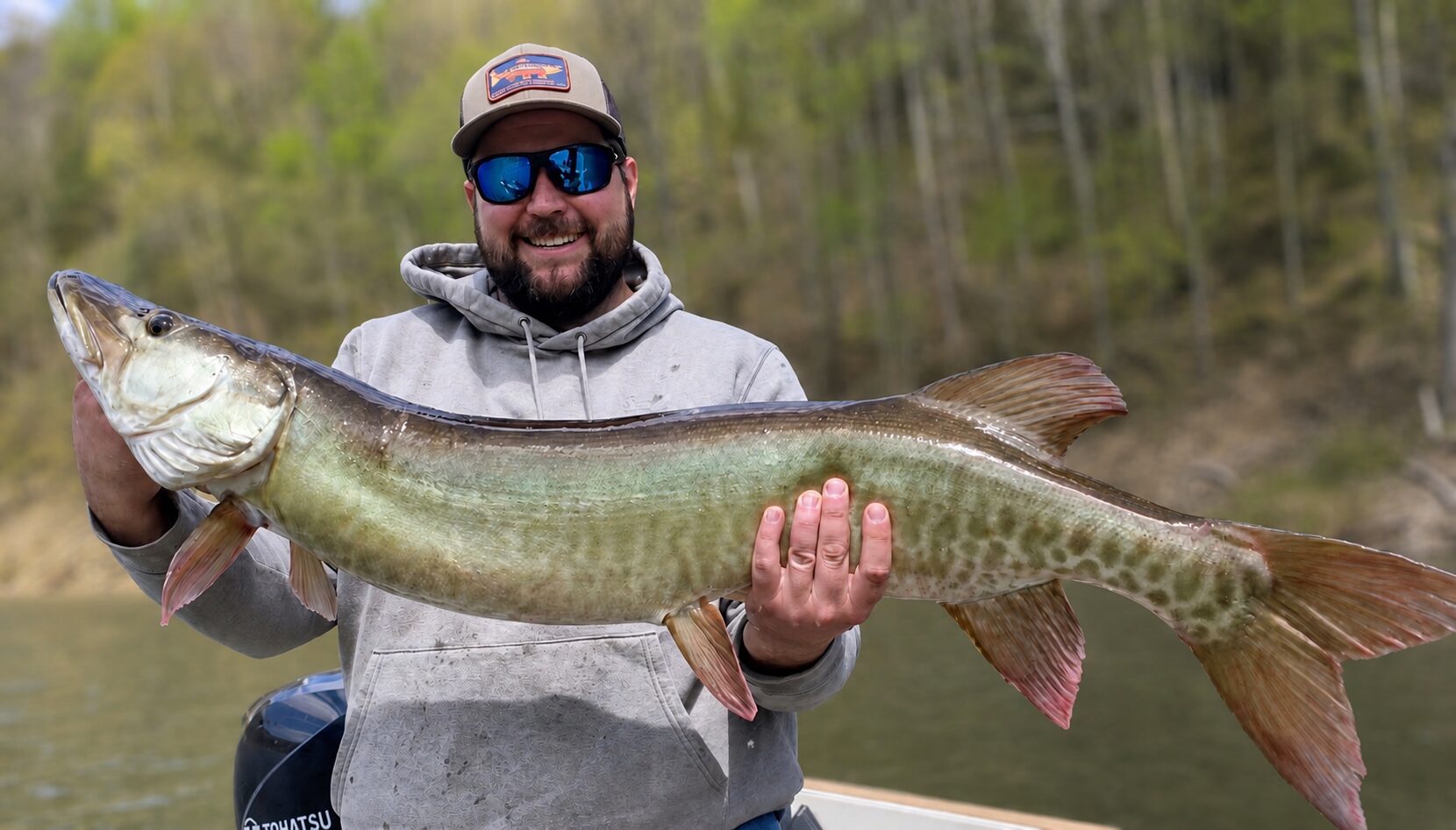 Guided client posing with massive PA musky he caught on a fly fishing trip with keystone anglers guide service in western PA
